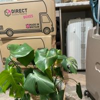 Removals