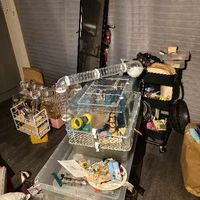 Removals